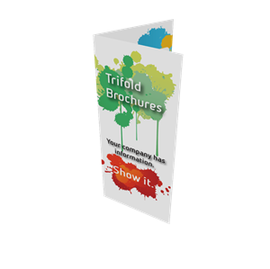 Show details for Trifold Upload - Canva Creation